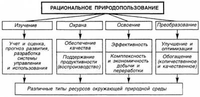 Что значит рациональное и нерациональное